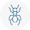 Ant Removals In Mildenhall