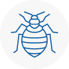 Bed Bug Extermination In Mildenhall