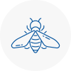 Bee Nest Removal Mildenhall