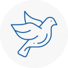 Bird Prevention Mildenhall