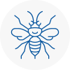 Mildenhall Hornet Nest Removals