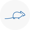 Mice Exterminators In Mildenhall