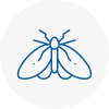 Moth Control Specialists In Mildenhall