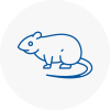 Rat Control Mildenhall