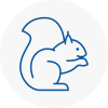 Mildenhall Rodent Removals