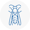 Mildenhall Wasp Nest Removal